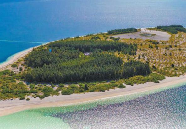 Reverdeciendo un arrecife: la silenciosa recuperación ecológica de Xishazhou en Hainan