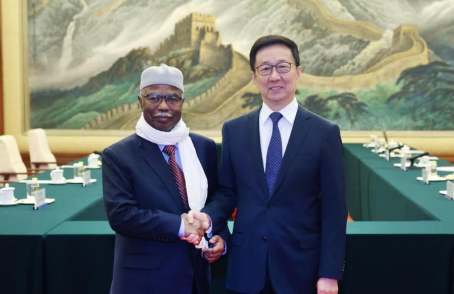 Vicepresidente chino se reúne con secretario general de la Organización para la Cooperación Islámica