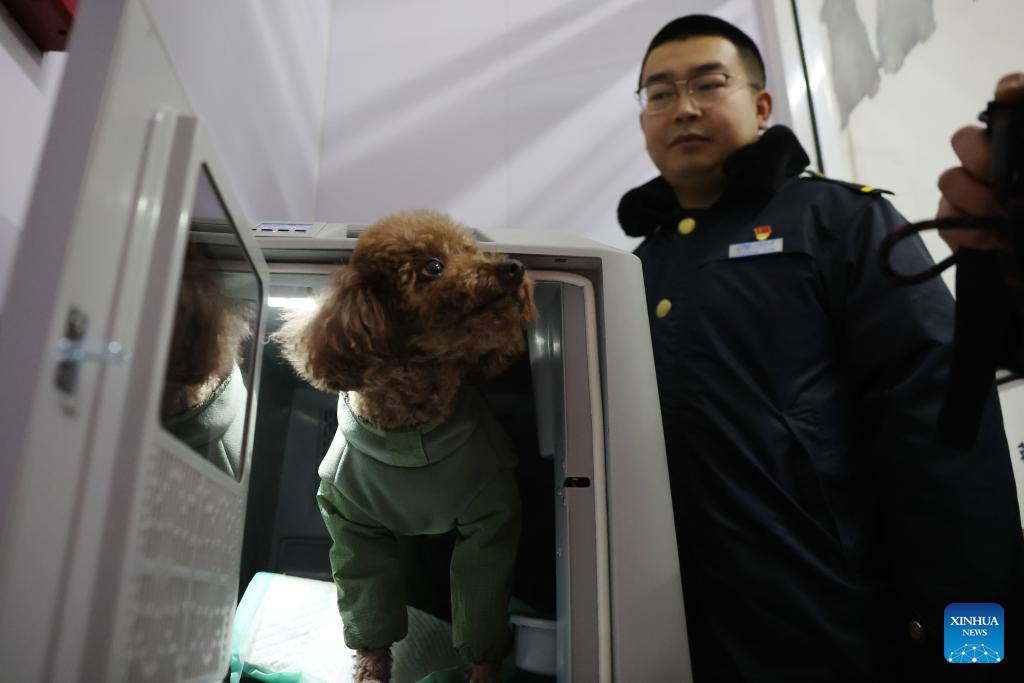 China incrementa número de estaciones de tren de alta velocidad con servicios de consignación de mascotas para Festival de Primavera