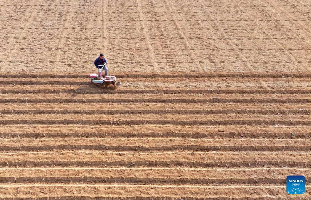Agricultores plantan papas en Zaozhuang, Shandong
