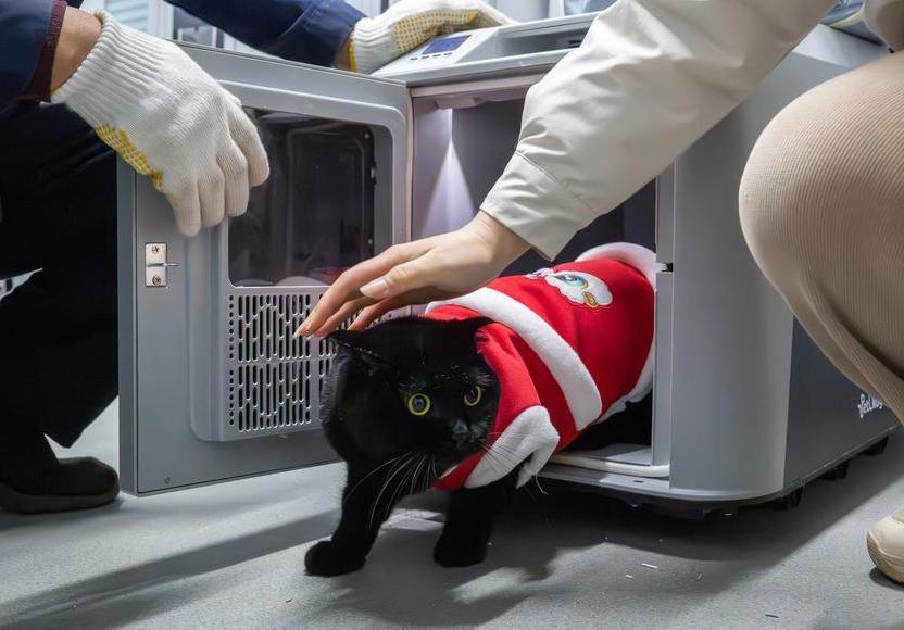 China amplía transporte ferroviario para mascotas, pues los amigos peludos se unen al auge de viajes de la Fiesta de la Primavera