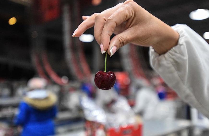 Empresa de cerezas chilenas diseña obras de arte para empacar la fruta con motivo del Año Nuevo chino