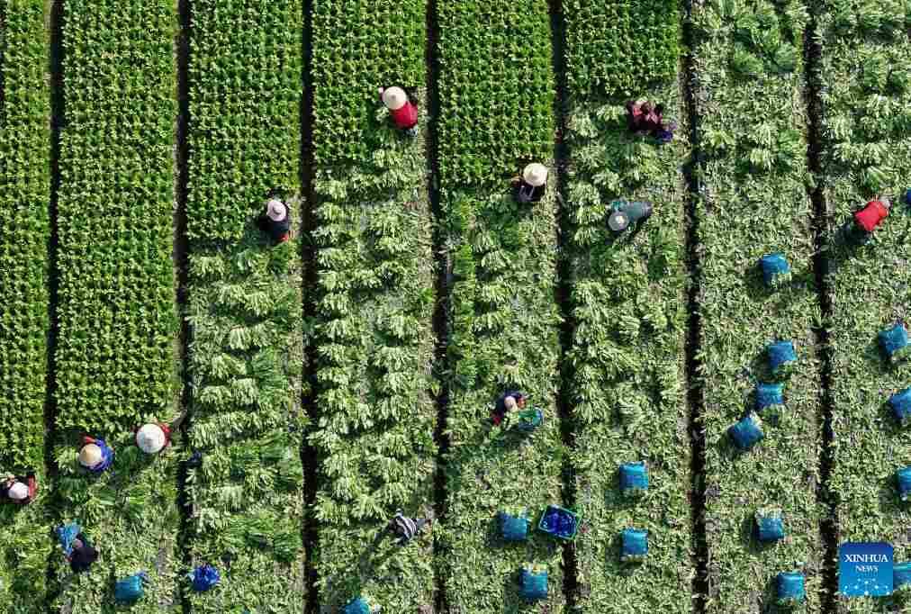 La tecnología contribuye con más del 64 por ciento al crecimiento de la producción agrícola en China, destaca asesor político