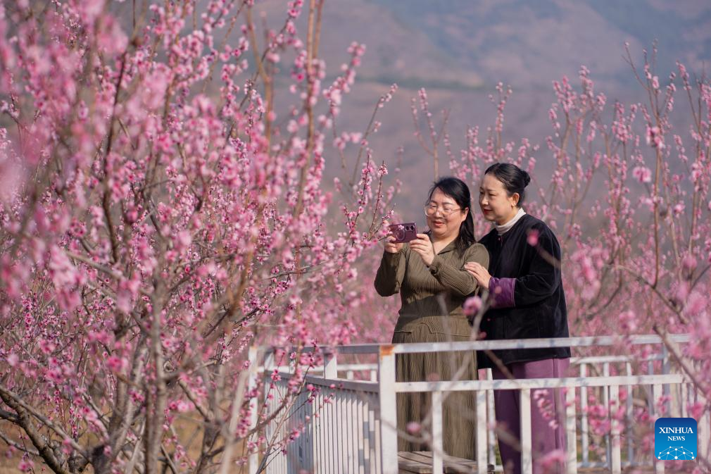 Turistas disfrutan del paisaje primaveral en China