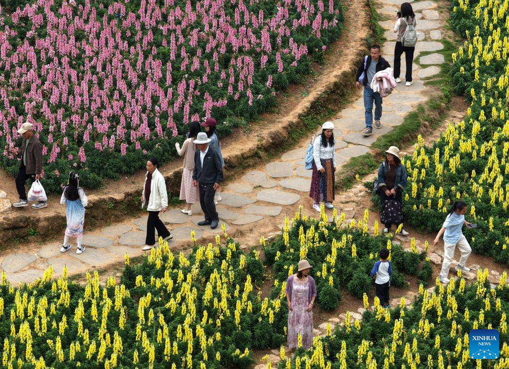 El paisaje floral de Guangxi, en el sur de China