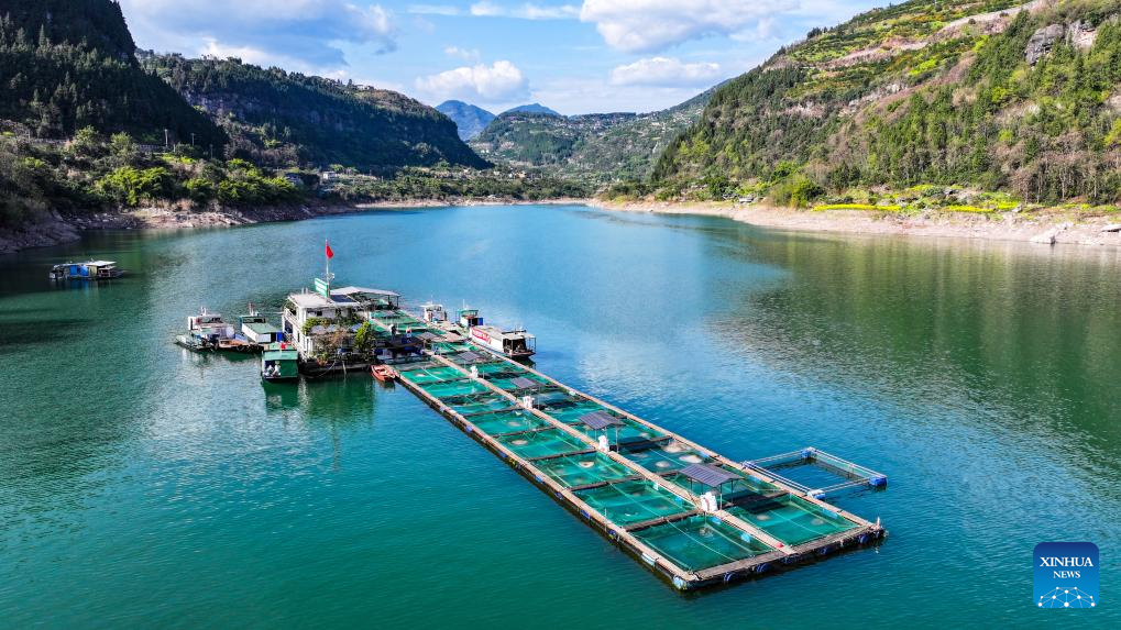 Base de Dazhou del instituto de investigación pesquera del distrito de Wanzhou en Chongqing