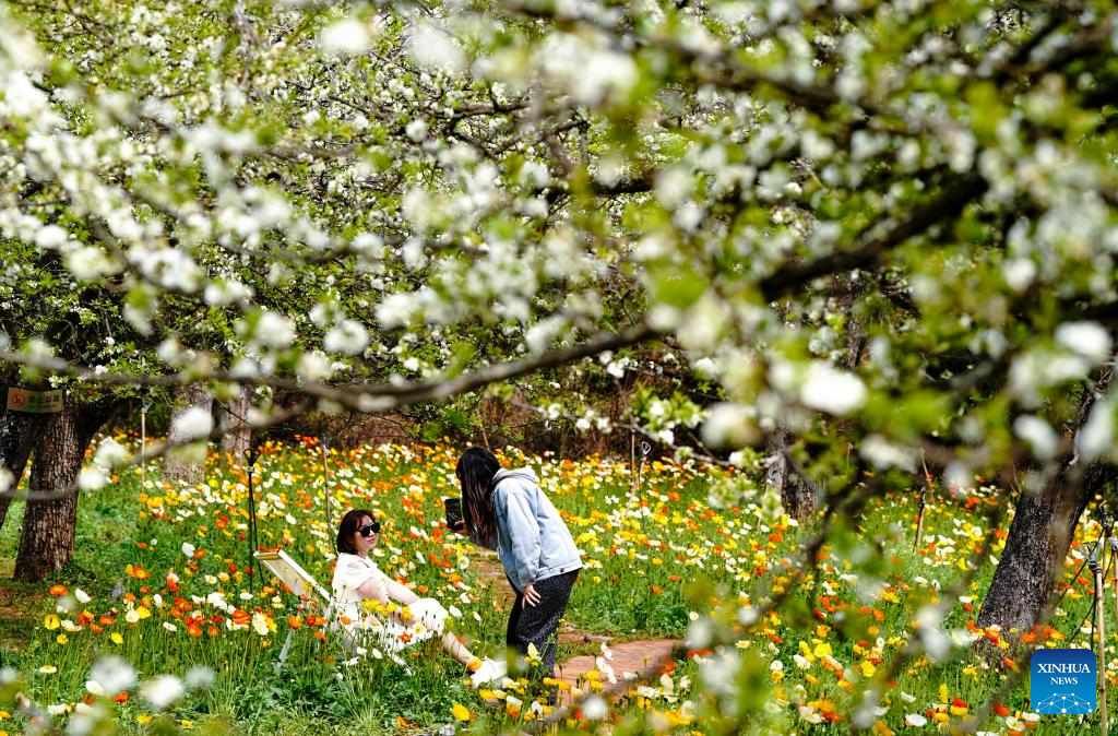 Paisaje de primavera en Kunming, Yunnan