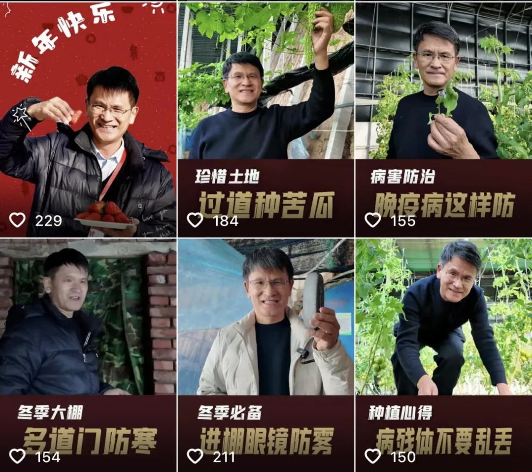 Captura de pantalla que muestra videos cortos publicados en una popular plataforma china de videos cortos por Li Baoju, un investigador del Instituto de Vegetales y Flores de la Academia de Ciencias Agrícolas de China. (Foto: cuenta oficial de WeChat del Diario del Pueblo)