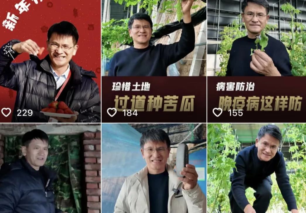 El 'doctor chino de los vegetales' utiliza videos cortos para ayudar a los agricultores de todo el país