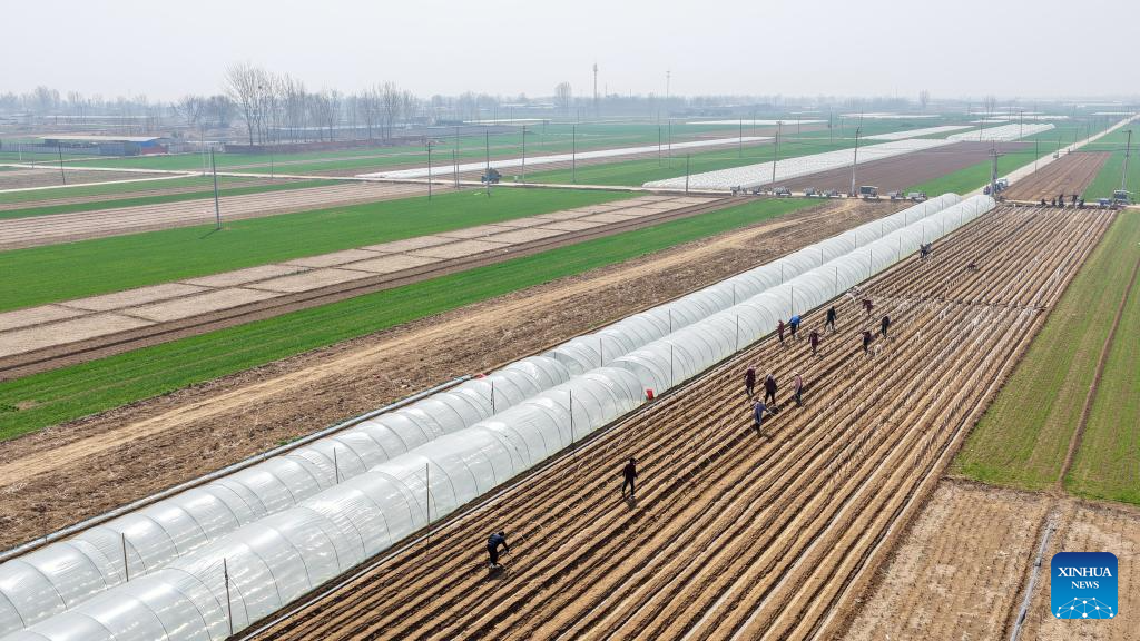 Agricultores de toda China aceleran labores de arado de primavera
