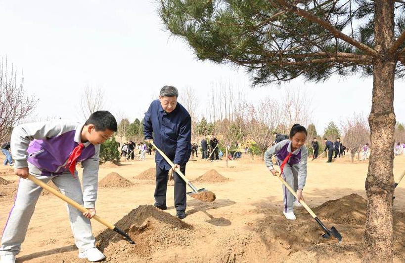 Xi insta a movilizar a toda la sociedad en los esfuerzos de plantación de árboles