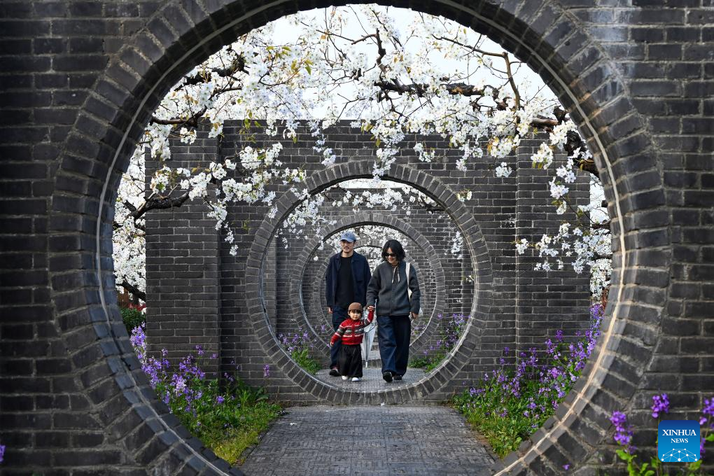 Imagen del 30 de marzo de 2026 de personas visitando un jardín de perales, en el distrito de Dangshan, en la provincia de Anhui, en el este de China. Ahora que los perales en el distrito de Dangshan de Anhui han entrado en plena floración, diversas actividades se llevan a cabo aquí para atraer turistas. (Xinhua/Cui Meng)