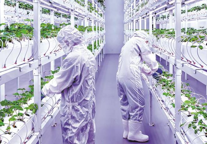 Una granja vertical en Chengdu lleva la agricultura a nuevas alturas