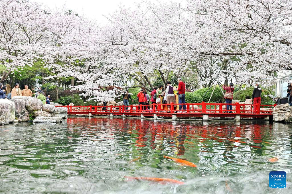 Ciudadanos chinos realizan actividades al aire libre y turismo durante el Festival de Qingming