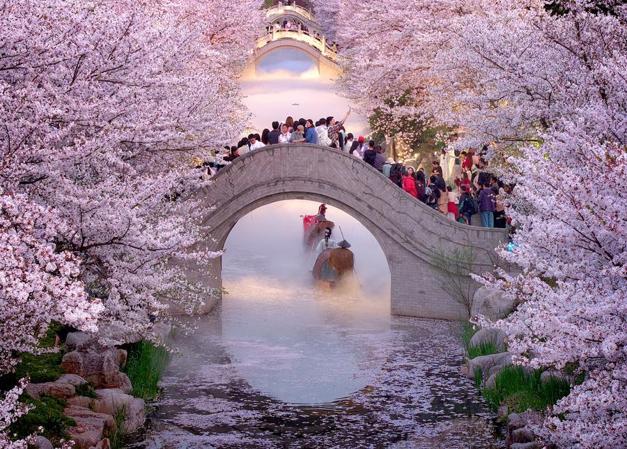 Una vibrante primavera impulsa la expansión del mercado cultural y turístico de China