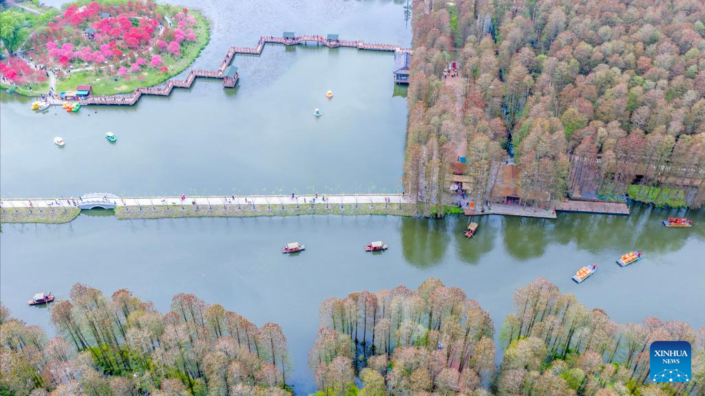 Paisaje primaveral en China