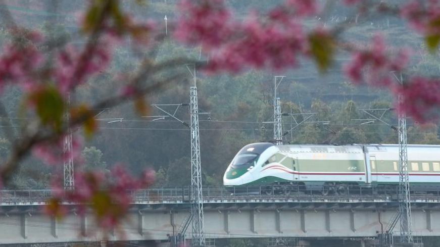 Ferrocarril China-Laos gestiona más de 800.000 viajes transfronterizos de pasajeros