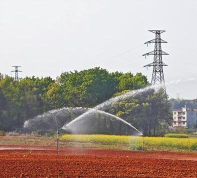 Esta granja en Jiangxi impulsa el riego por aspersión inteligente convirtiendo laderas áridas en tierras fértiles