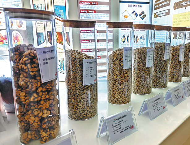 Yunnan aprovecha hongos nativos para refinar los sabores del café