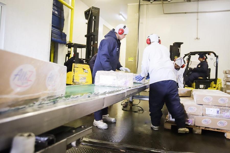 Puerto de Santos perfila récord de carga y concentra 28% de comercio exterior de Brasil