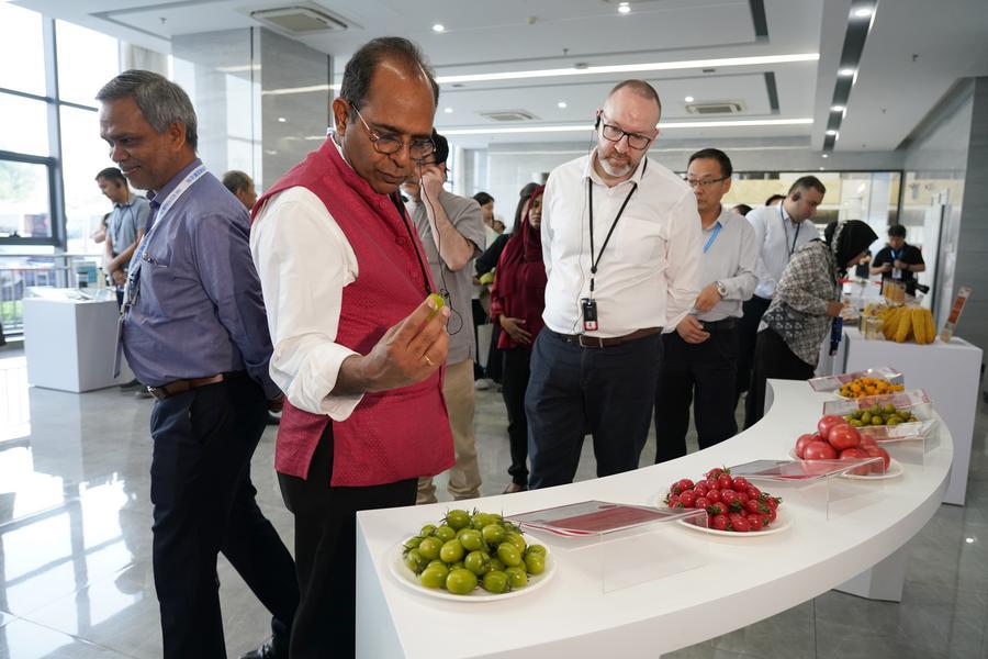 Vicepremier chino insta a asistencia regular y consolidación de alivio de la pobreza