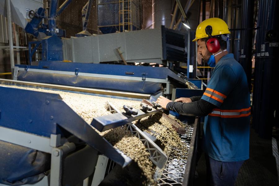 Brasil registra récord de empleo en agronegocio con 28,4 millones de ocupados en 2025