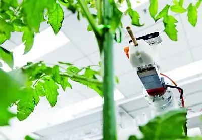 Las nuevas tecnologías y los equipos hacen que la agricultura sea más inteligente en China