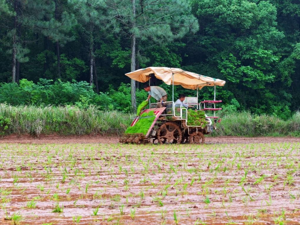 Sistema de navegación BeiDou impulsa la transformación agrícola de China