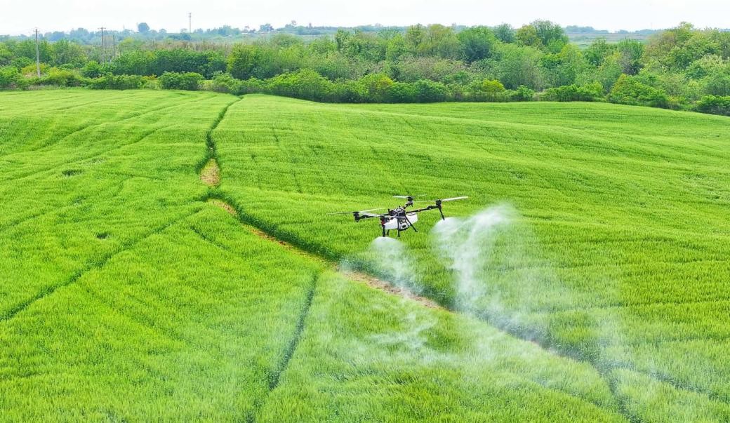 Un dron realiza una misión de protección de cultivos sobre un campo de trigo en la aldea Duanchong, de Hefei, provincia de Anhui. (Foto: Chen Sanhu)