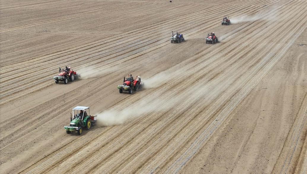 Grandes sembradoras equipadas con el Sistema de Navegación por Satélite BeiDou plantan sorgo en Minle, Zhangye, provincia de Gansu, China. (Foto: Wang Xiaojing)