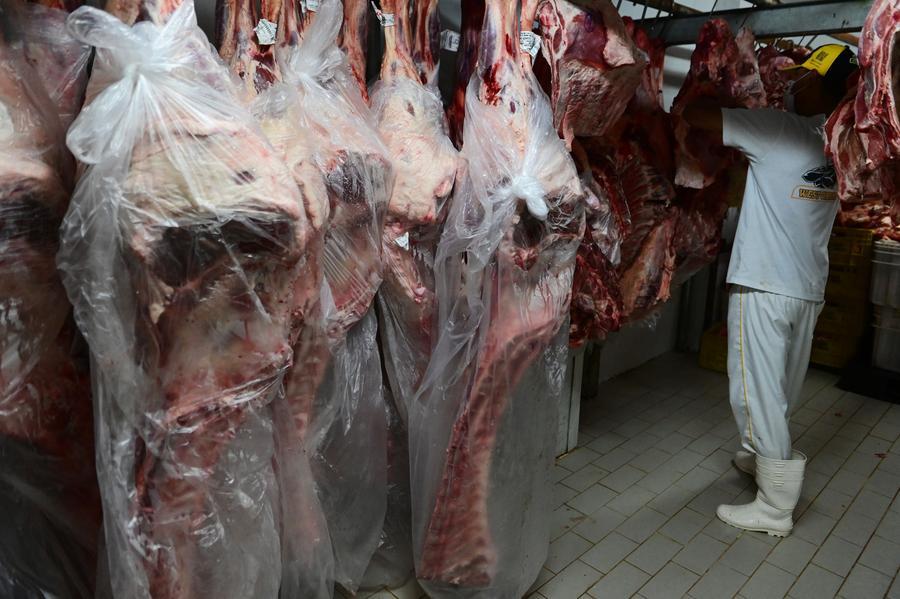 Brasil registra aumento en producción y exportación de proteína animal en primer trimestre de 2026