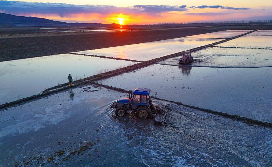 China y EEUU colaboran para ampliar cooperación comercial en sector agrícola, afirma Ministerio de Comercio