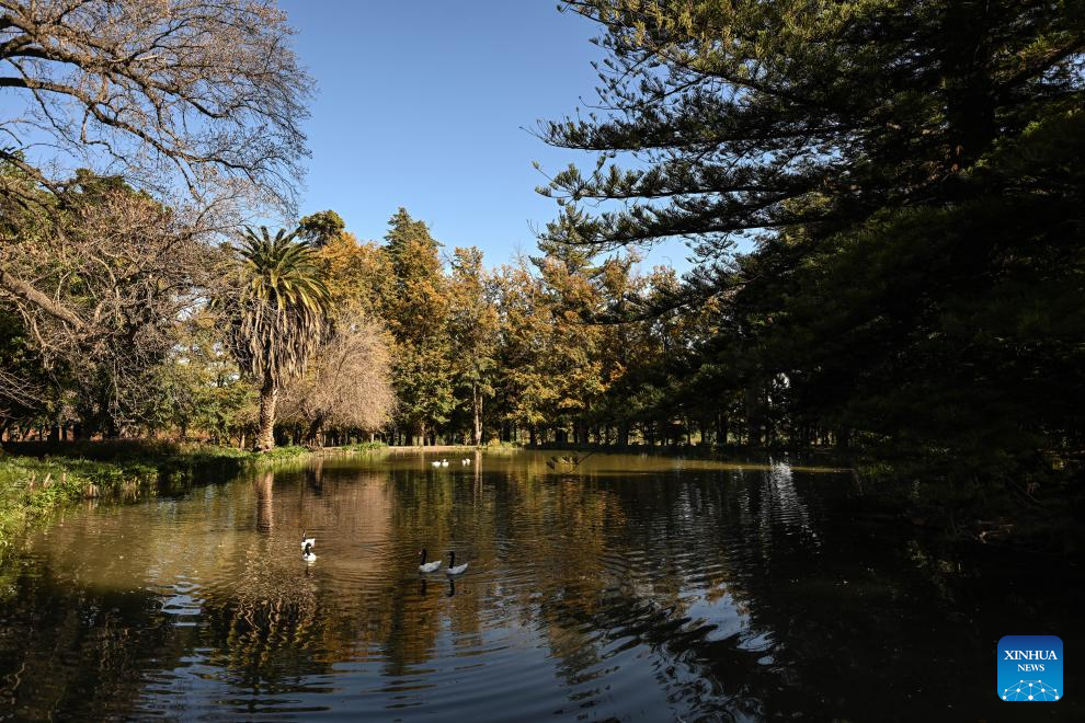 Día del Patrimonio en Chile rinde honor a la identidad vitivinícola del país austral