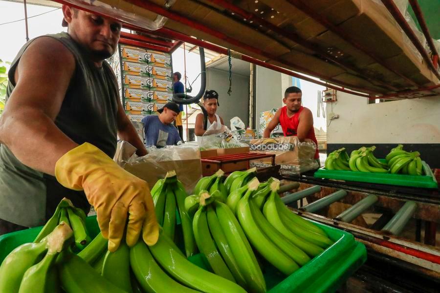 TLC China-Ecuador cumple dos años impulsando el intercambio comercial bilateral
