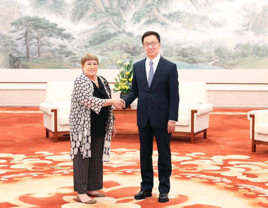 Vicepresidente chino se reúne con Bachelet, candidata a cargo de próximo secretario general de la ONU
