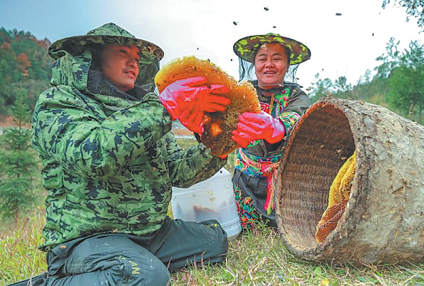 La miel rural china dignifica vidas en el pueblo de Shibadong