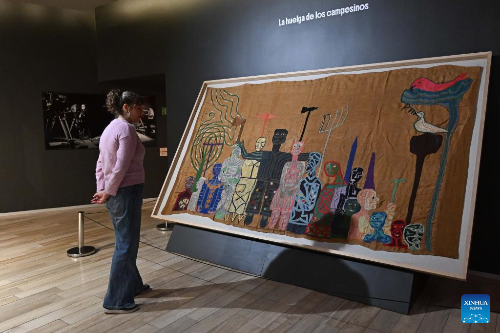 Museo Violeta Parra se reinventa con obras inéditas y piezas vinculadas al mundo campesino chileno