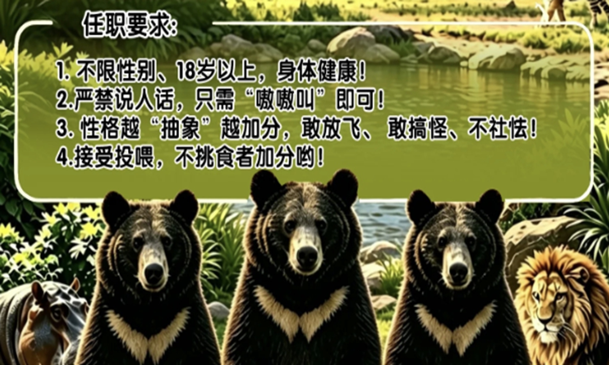 Zoológico chino ofrece oportunidad bien remunerada para “ser” un oso negro
