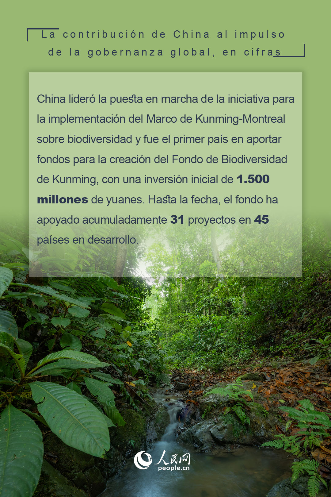 La contribución de China al impulso de la gobernanza global, en cifras