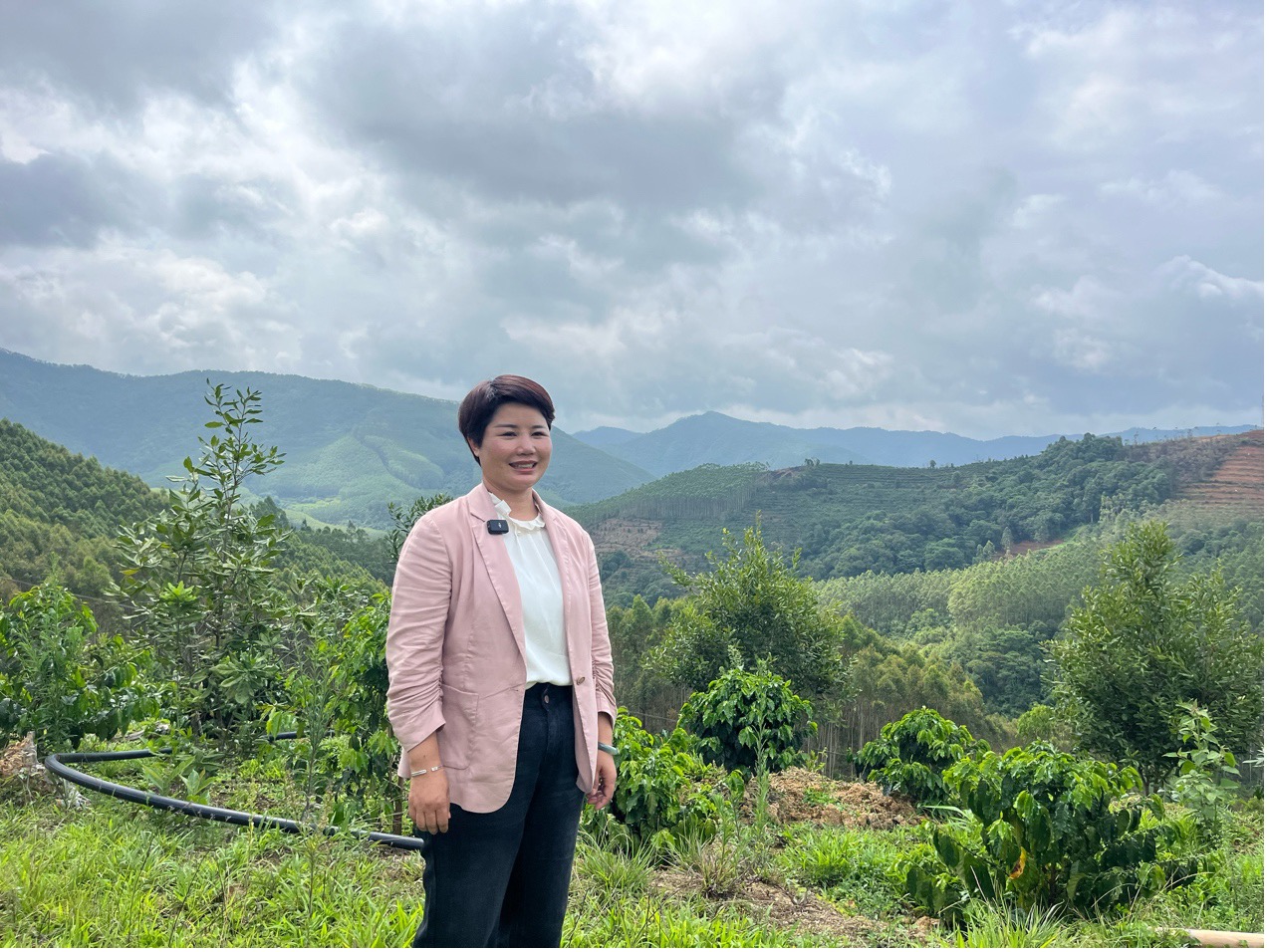 De granos amargos a tazas dulces, el trabajo de Li Meiying la lleva a través de las colinas y tierras de cultivo del condado de Menglian. Conoce todas las marcas locales de café al dedillo y tiene un profundo entendimiento de la industria cafetera de la región. (Foto: Diario del Pueblo Digital/ Kou Jie)