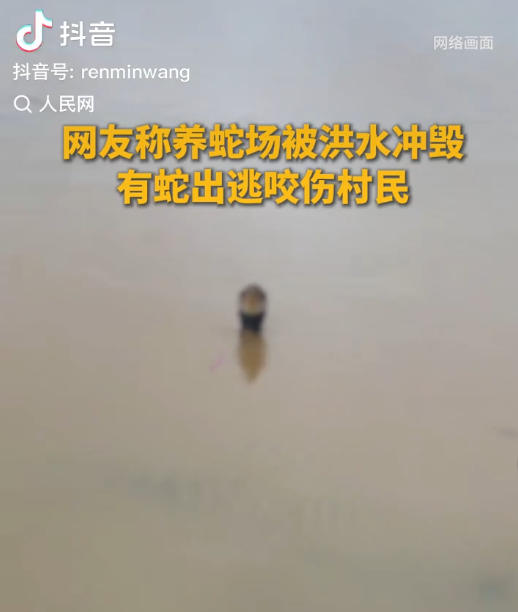 Centenares de serpientes escapan de granjas por inundaciones en Guangxi
