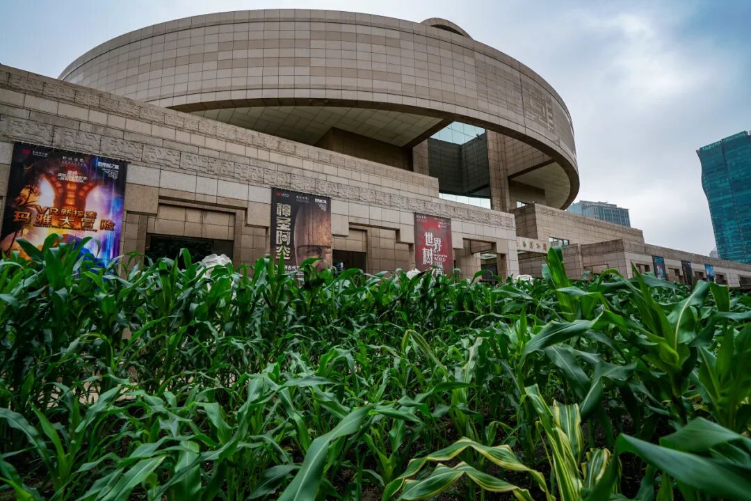 ¡Obra cumbre! La exposición más grande del mundo sobre las antiguas civilizaciones de América abre sus puertas el 9 de julio
