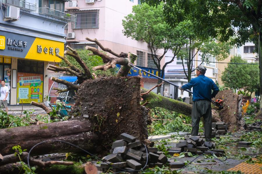 Provincia central china de Henan reubica a 65.000 residentes por vendavales y tormentas de tifón Dolphin
