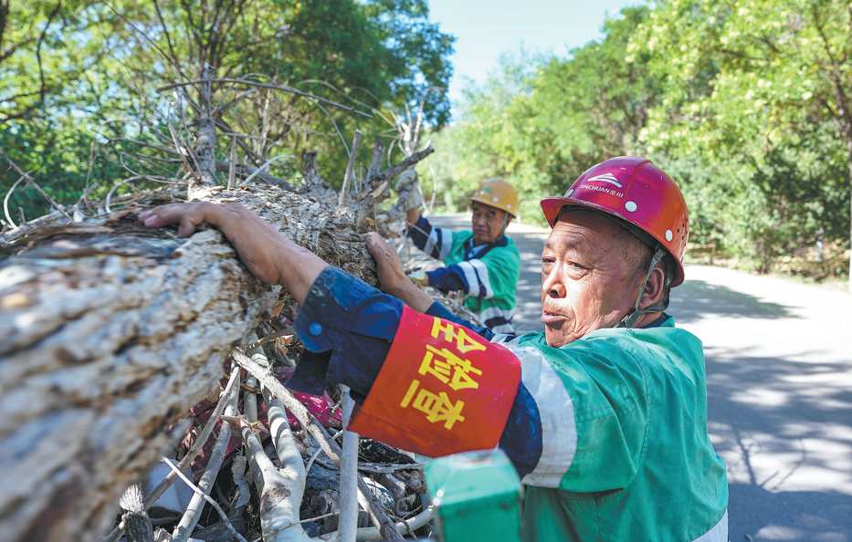 Un anciano transforma una antigua zona minera en un parque verde