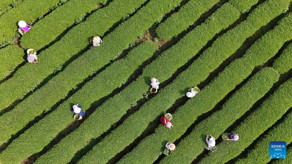 China presenta la primera política industrial de alcance nacional para las industrias tradicionales