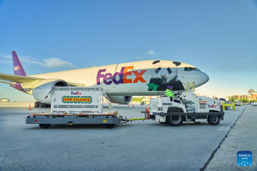 Dos pandas gigantes chinos llegan a la ciudad estadounidense de Atlanta