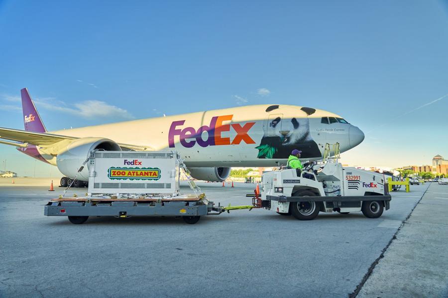 Dos pandas gigantes chinos llegan a la ciudad estadounidense de Atlanta