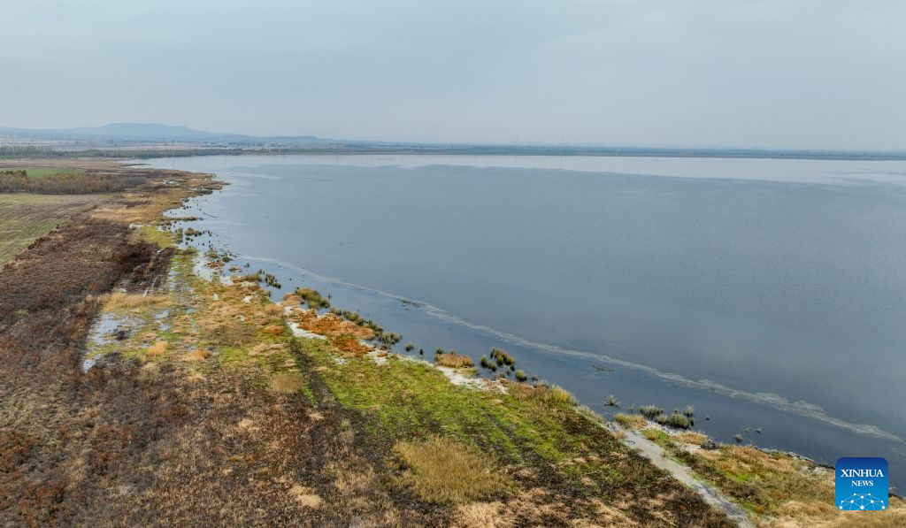Vista otoñal de la reserva natural del lago Huangqihai en Ulanqab, Mongolia Interior