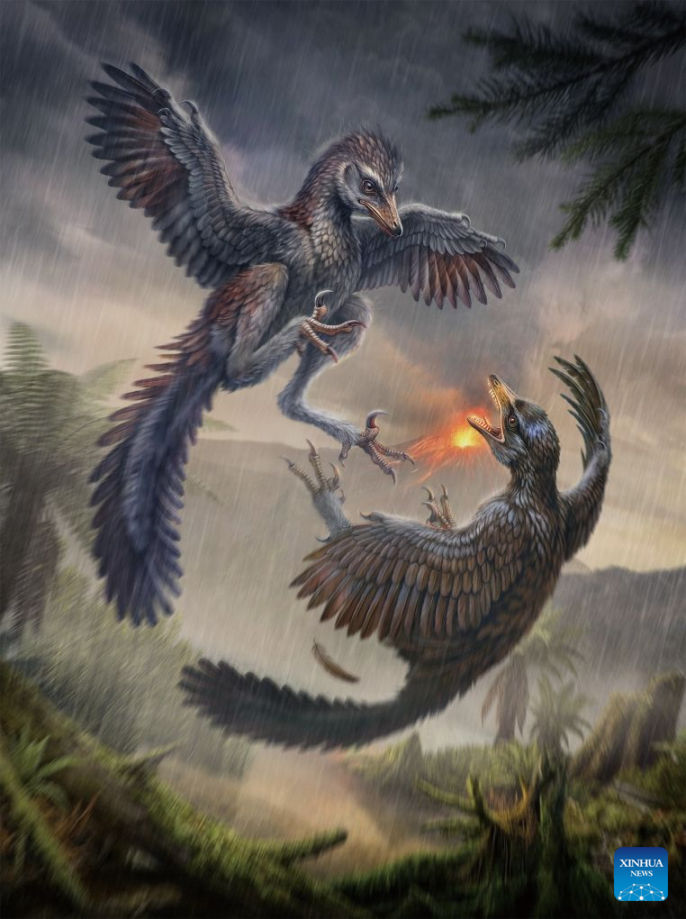 Fósil del Jurásico descubierto en China lleva a replantear hipótesis sobre aves