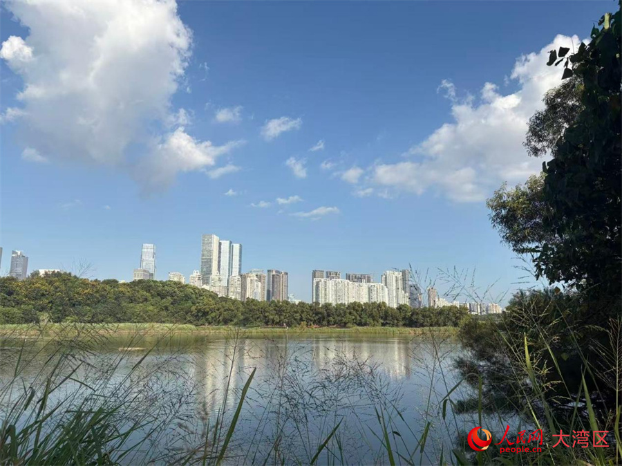 Shenzhen, una ventana al futuro | Una ciudad hacia un futuro de cero emisiones de carbono